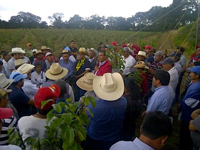 JIMÉNEZ MERINO